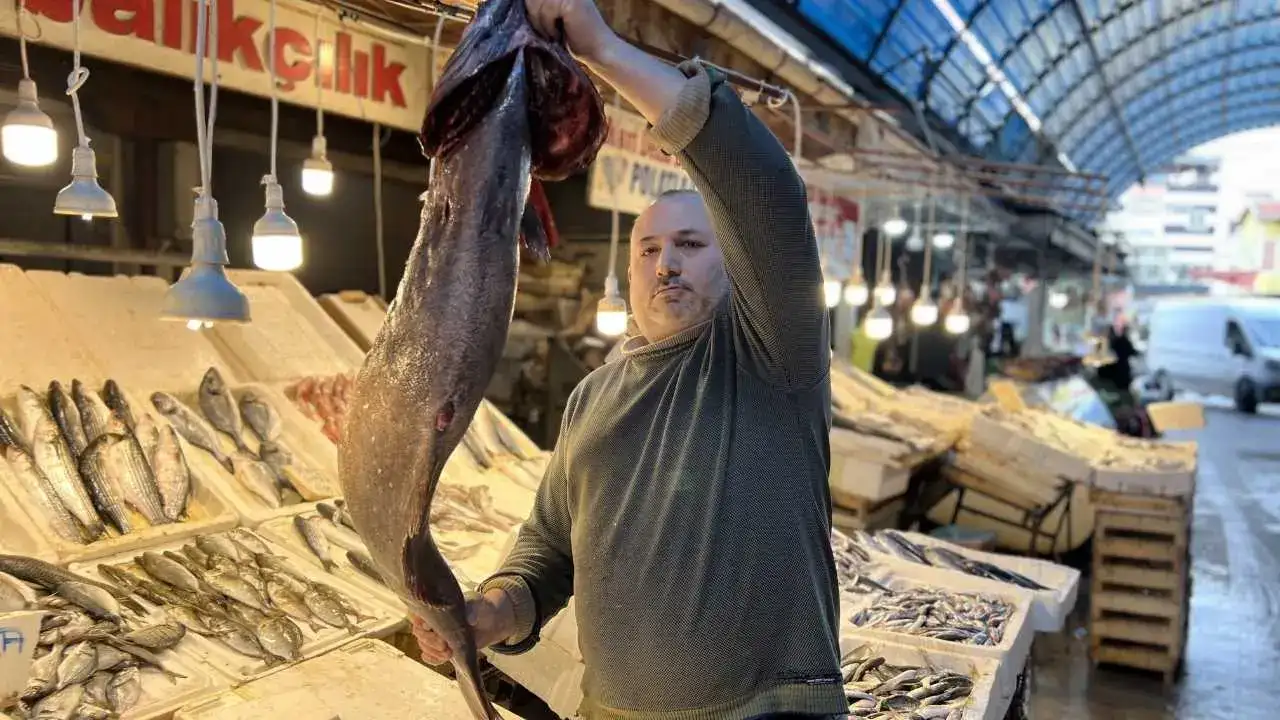 Atlas Okyanusu’ndan Mersin’e Dev Misafir! 3